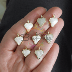 Lak Kaplama Model - 21 Ara Aparat (1 adet)