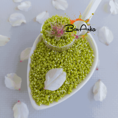 Miyuki Delica 11/0 DB0262 (012) Opak Açık Yeşil Boncuk 5 g