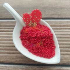 (5 gram) No:035 Kırmızı Renk Miyuki Round 15/0 Kum Boncuk