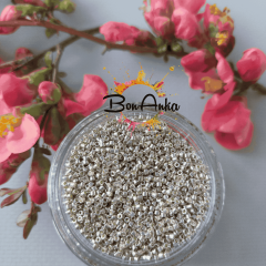 Miyuki Delica 11/0 DB0035 (027) Galvanizli Gümüş Boncuk 5 g