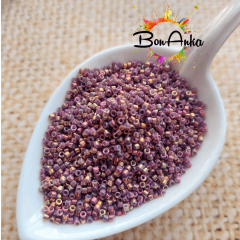 Miyuki Delica 11/0 DB1010 (104) Bronz Altın İRİS Boncuk 5 g