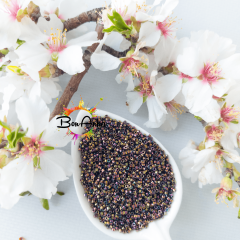 Miyuki Delica 11/0 DB0023 (048) Açık Bronz İRİS Boncuk 5 g