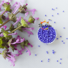 Miyuki Delica 11/0 DB0361 (058) Parlak Kobalt Boncuk 5 g