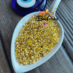 Miyuki Delica 11/0 DB2061 (231) MİX Boncuk 5 g