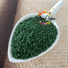 5 g No:255 Miyuki Delica 11/0 Boncuk DB0797 Opak Yeşil