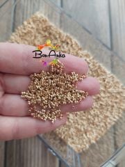 (2.5 gram) Gold Bit Kapama