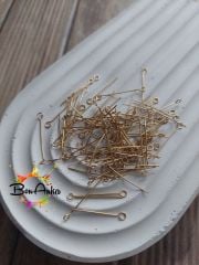 (10 adet) 316 L Çelik Gold Çivi